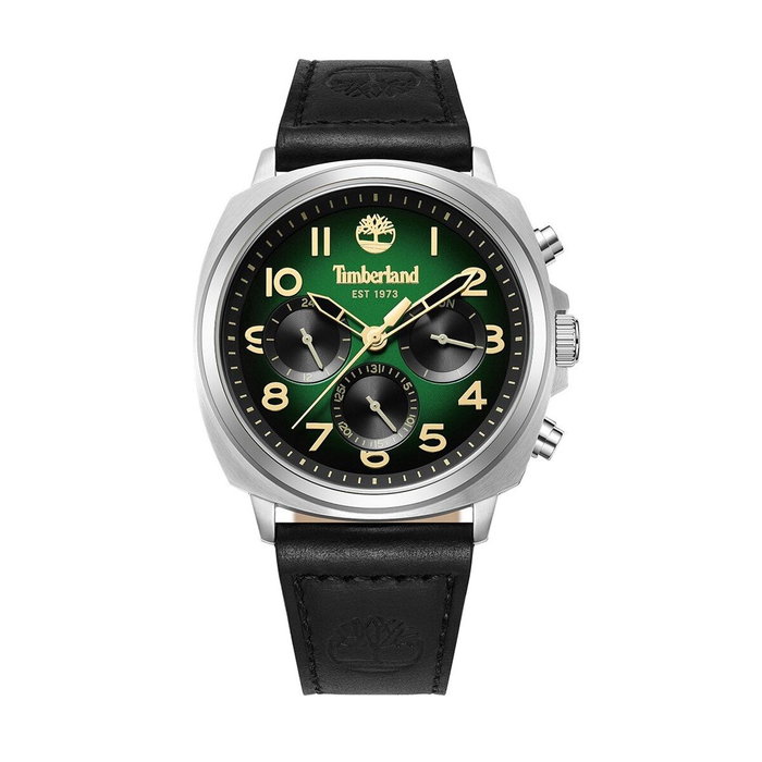 Montre Homme Timberland TDWGB0042008 Montre Homme Timberland TDWGB0042008