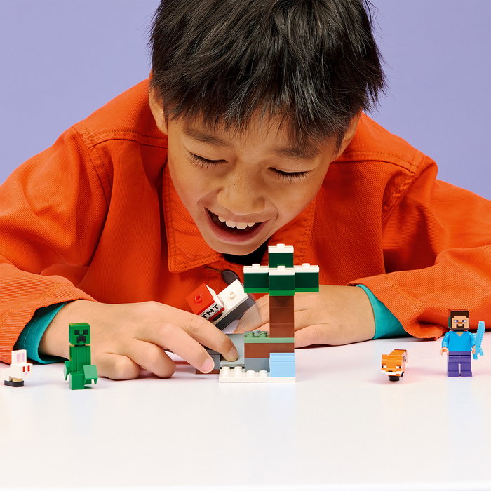 LEGO Minecraft L'aventure de Steve dans la Taiga 21583