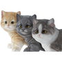 Home ESPRIT Figurine Décorative Chaton Blanc Gris Orange (3 Unités)