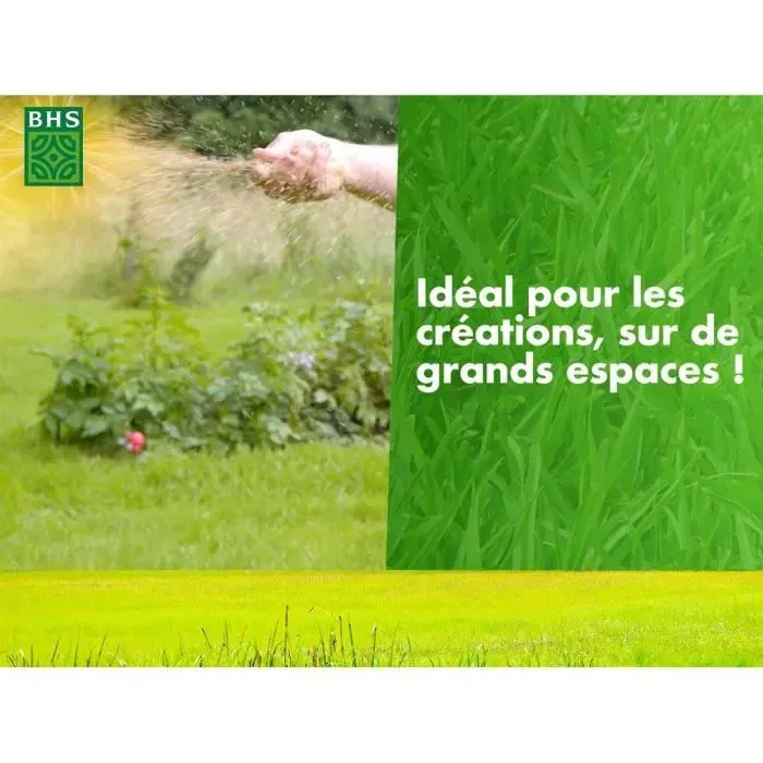 BHS - Semences de gazon 1er prix Eco - 10 kg - Implantation rapide, resistance au pietinement pour grandes surfaces