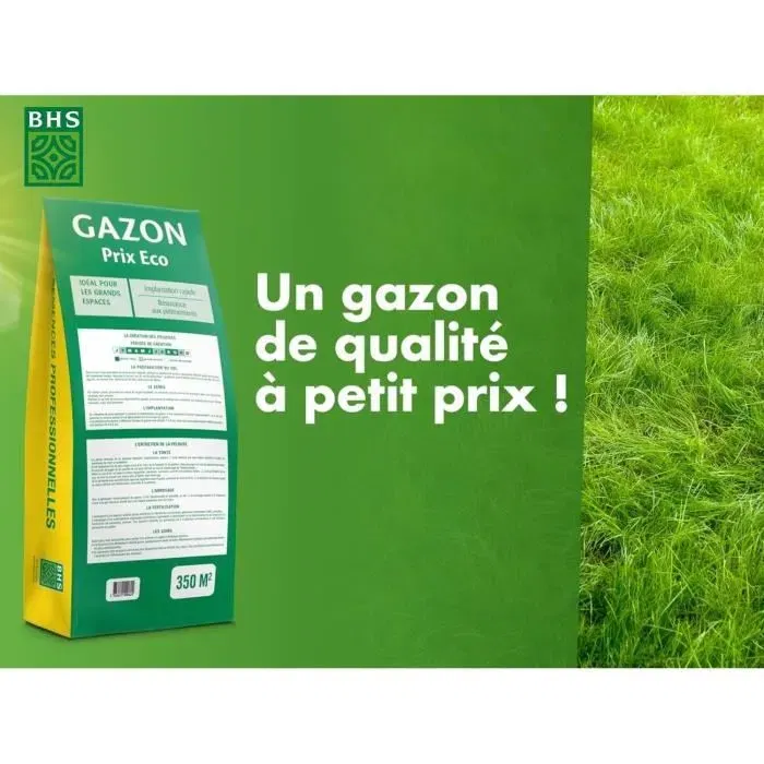 BHS - Semences de gazon 1er prix Eco - 10 kg - Implantation rapide, resistance au pietinement pour grandes surfaces