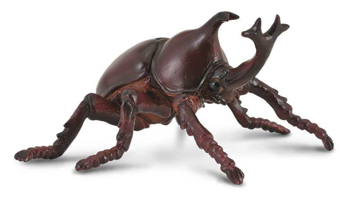 COLLECTA Scarabée Rhinocéros - Échelle M COLLECTA Scarabée Rhinocéros - Échelle M
