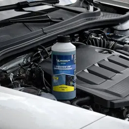 Michelin - Liquide de refroidissement bleu pour véhicules Peugeot, Citroën, DS - Norme PSA - Protection -35°C à +123°C - Anti-corrosion - 1L