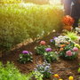 Gardena Kit complet d'arrosage goutte-à-goutte Micro-Drip® taille S