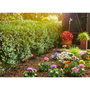 Gardena Kit complet d'arrosage goutte-à-goutte Micro-Drip® taille S