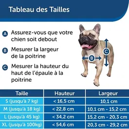 PetSafe Staywell Chatière en aluminium pour chien, taille XL, avec système de verrouillage, rabat magnétique et cadre renforcé