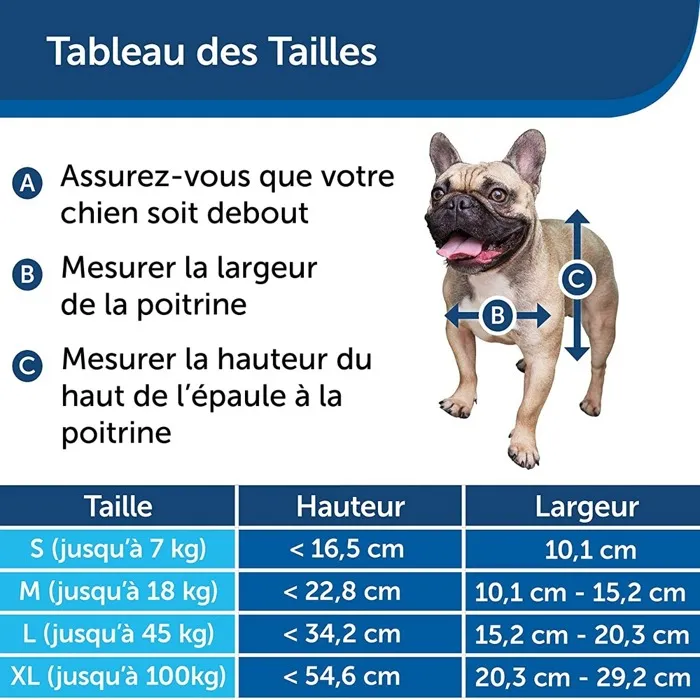 PetSafe Staywell Chatière en aluminium pour chien, taille XL, avec système de verrouillage, rabat magnétique et cadre renforcé