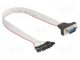 DELOCK Câble D-Sub 9 broches RS232, 0,3m