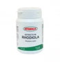 INTEGRALIA Rhodiola extrait 60 capsules