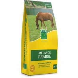 BHS Mélange Prairie Semence de gazon 5kg