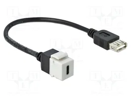 DELOCK Module USB Keystone USB 2.0 (USB-A et USB-C) Noir