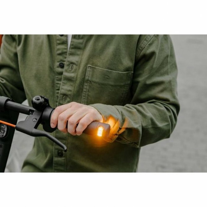 Segway KickScooter F2 Pro E Patinette Électrique, 450W, Roues 10 pouces, Autonomie 55 km