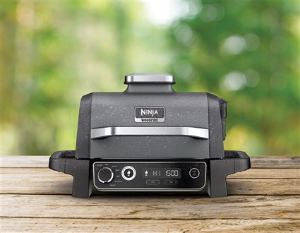 Ninja Woodfire OG701EU Noir et gris inox
