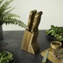 Livoo Set de 6 couteaux à steak MEC133 avec support en bois d'acacia
