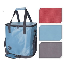 Cool Sac isotherme portable 18 L couleurs assorties 29 x 31 x 21 cm