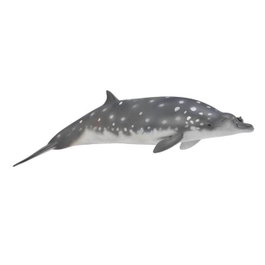 COLLECTA Baleine à bec de Blainville - Échelle L