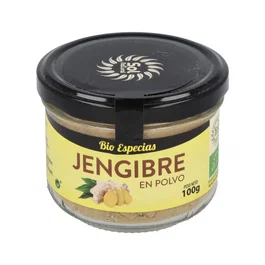 SOLNATURAL Gingembre en Poudre Bio 100g