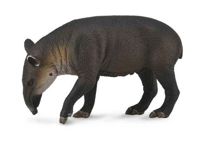 Collecta Figurine Animal Sauvage Tapir Centroamericano Réplique Détailée - Échelle L Modèle 88596 - Peinture Main - Valeur Éducative - Pour Enfants 3 Ans et Plus Collecta Figurine Animal Sauvage Tapir Centroamericano Réplique Détailée - Échelle L Modèle 88596 - Peinture Main - Valeur Éducative - Pour Enfants 3 Ans et Plus