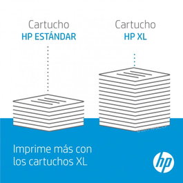 HP Pack de 2 cartouches de toner 504X Noir (CE250XD)