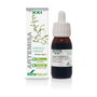 Soria Natural Composor 15 Artemisa Complex Fórmula XXI 50 ml