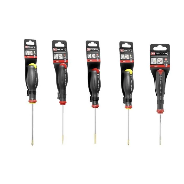 Facom BP.C19NCM1PB Boîte à outils 19 pouces avec 16 outils : 5 tournevis Protwist, 9 clés mâles, 1 pince multiprise et 1 mètre ruban 2 m