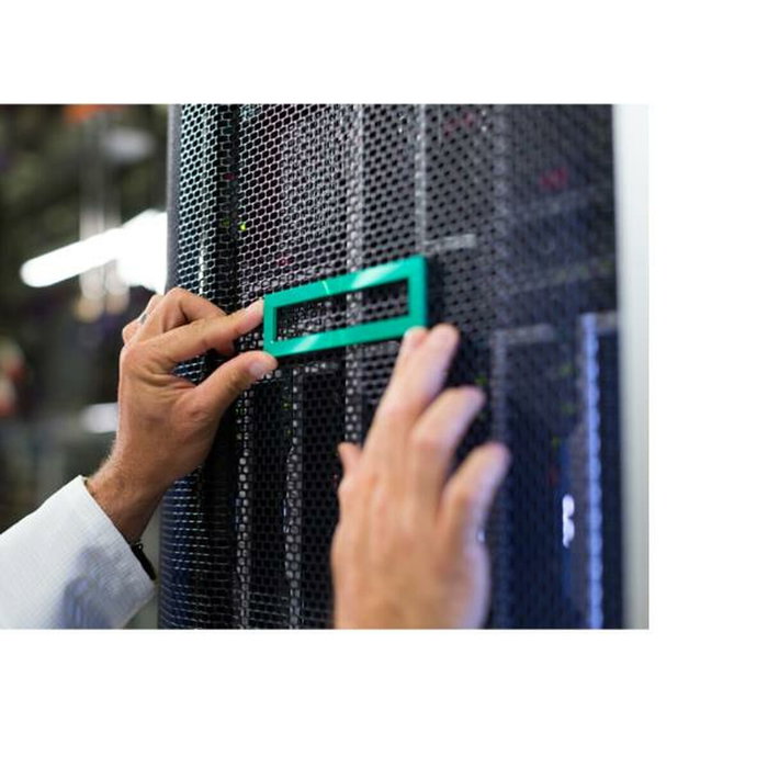 Hewlett Packard Enterprise ProLiant DL380 Gen11 NS204i-u Internal Cable Kit