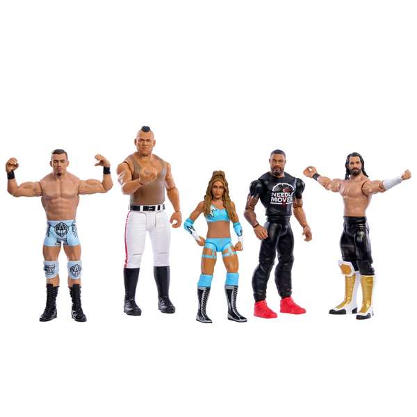 Mattel WWE Main Event Figure Asst