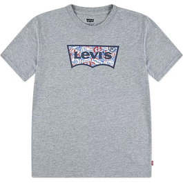 T shirt à manches courtes Enfant Levi's Lvb On The Road Batwing Gris clair L