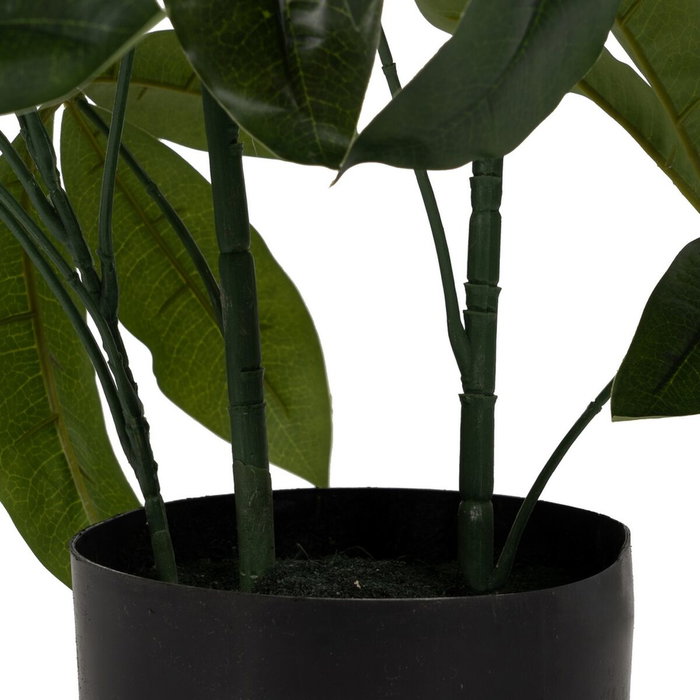 BigBuy Home Plante décorative 50 X 50 X 70 CM