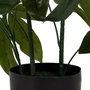 BigBuy Home Plante décorative 50 X 50 X 70 CM