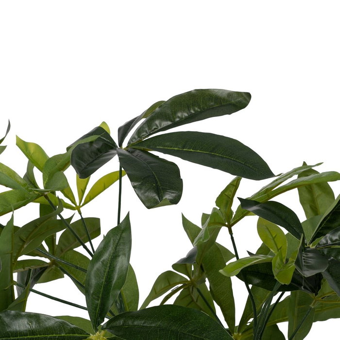BigBuy Home Plante décorative 50 X 50 X 70 CM