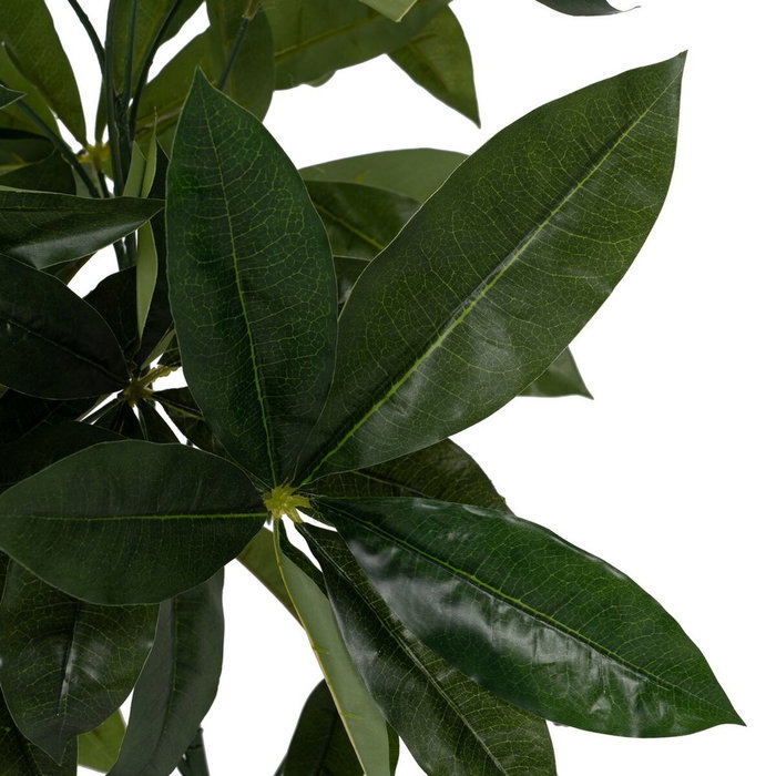 BigBuy Home Plante décorative 50 X 50 X 70 CM