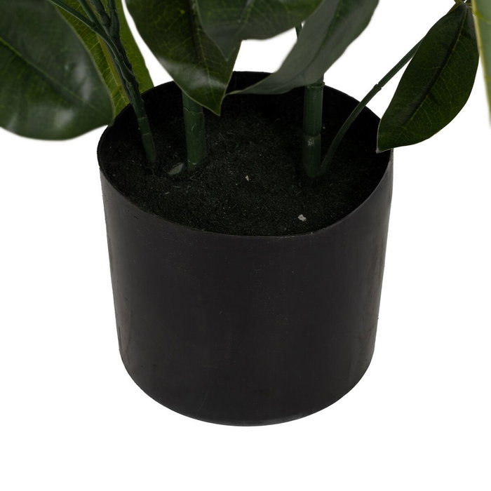BigBuy Home Plante décorative 50 X 50 X 70 CM