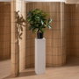 BigBuy Home Plante décorative 50 X 50 X 70 CM