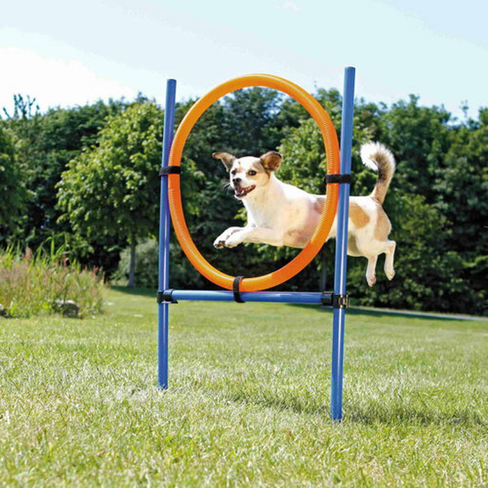 Trixie Cerceau d'agilité pour chiens Orange et Bleu Trixie Cerceau d'agilité pour chiens Orange et Bleu