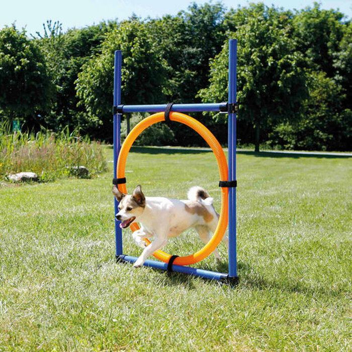 Trixie Cerceau d'agilité pour chiens Orange et Bleu Trixie Cerceau d'agilité pour chiens Orange et Bleu