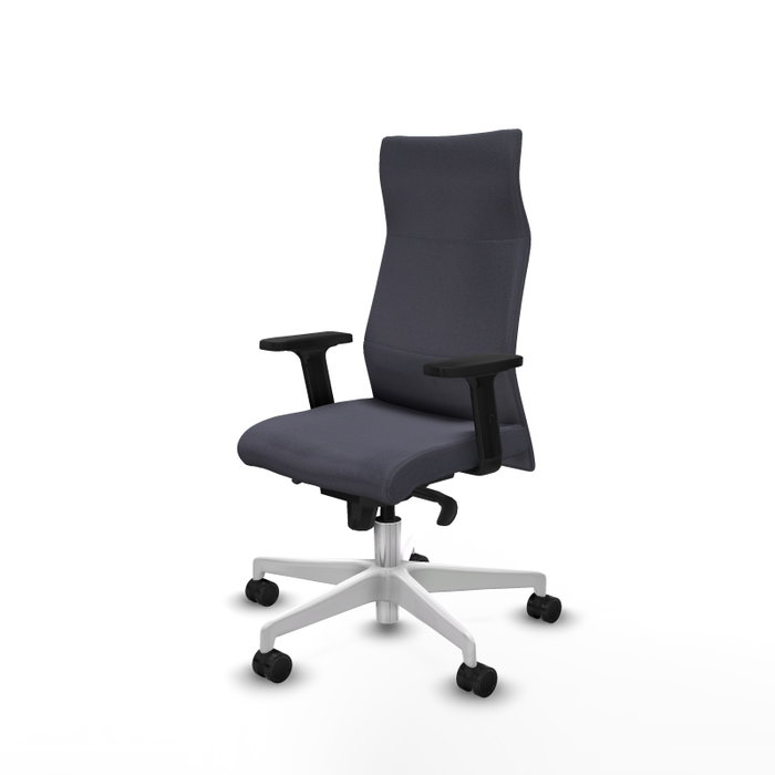 Piqueras Y Crespo Albacete Fauteuil de Bureau Gris Foncé avec Mécanisme Synchrone et Base Blanche Piqueras Y Crespo Albacete Fauteuil de Bureau Gris Foncé avec Mécanisme Synchrone et Base Blanche