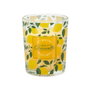 Home Deco Factory Bougie Citronnelle en Verre 6,5 cm