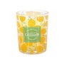Home Deco Factory Bougie Citronnelle en Verre 6,5 cm