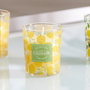 Home Deco Factory Bougie Citronnelle en Verre 6,5 cm