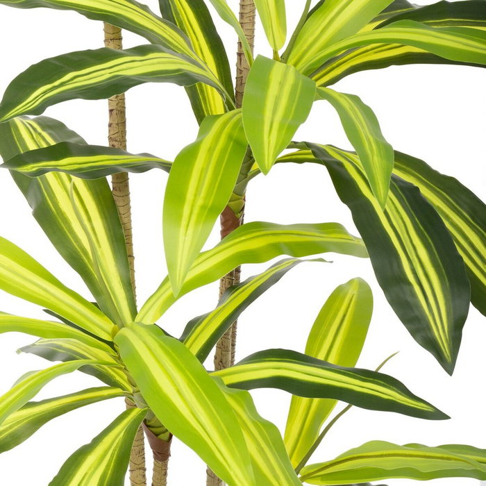 BigBuy Home Plante décorative Polyuréthane Ciment 180 cm BigBuy Home Plante décorative Polyuréthane Ciment 180 cm