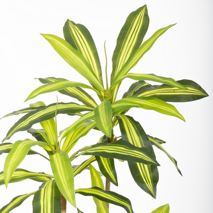 BigBuy Home Plante décorative Polyuréthane Ciment 180 cm BigBuy Home Plante décorative Polyuréthane Ciment 180 cm