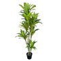 BigBuy Home Plante décorative Polyuréthane Ciment 180 cm