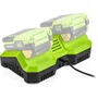 Fieldmann - Chargeur double pour batteries 20V - Charge 2 batteries en 60 min - Compatible 2Ah et 4Ah
