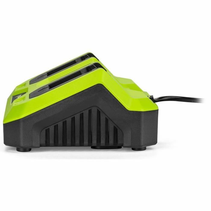 Fieldmann Chargeur double pour batteries 20V Li-Ion