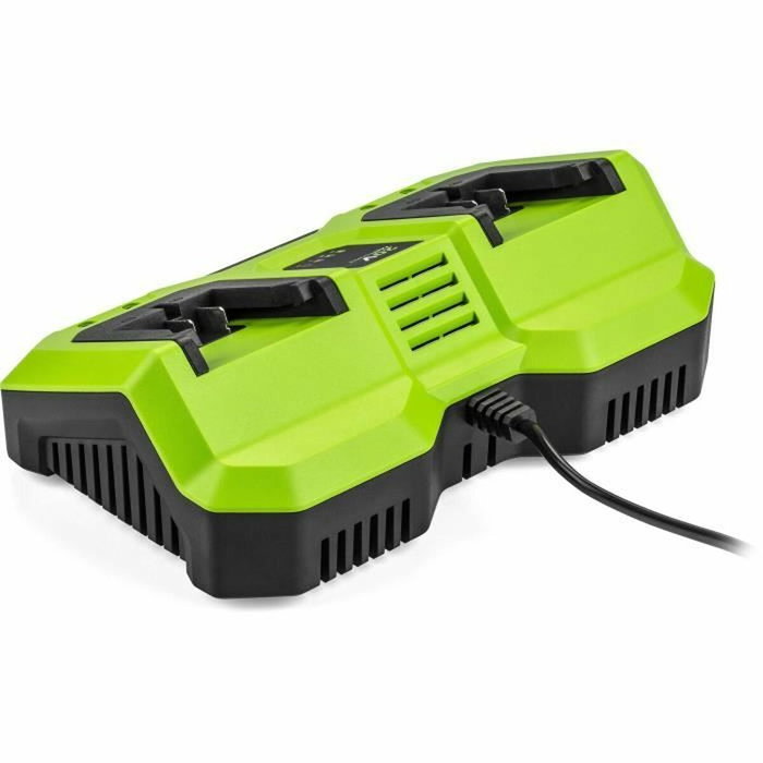Fieldmann Chargeur double pour batteries 20V Li-Ion