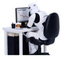 Nemesis Now Original Stormtrooper figurine Slave to the Wage 14 cm