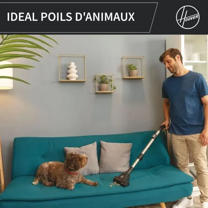 Hoover HP321PAF Aspirateur Traîneau Sans Sac, 850 W, 75 dBA, Technologie Cyclonique, 2 L, Filtre EPA 10, Brosse Tous Sols, Mini Turbo Brosse pour Animaux Hoover HP321PAF Aspirateur Traîneau Sans Sac, 850 W, 75 dBA, Technologie Cyclonique, 2 L, Filtre EPA 10, Brosse Tous Sols, Mini Turbo Brosse pour Animaux