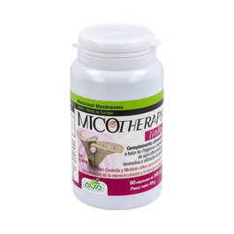 AVD REFORM MICOTHERAPY LINFO 90cap.