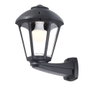 Fumagalli Applique murale avec bras Nardo/Giampy, noir, verre transparent, douille E27, 210 x 270 x 315 mm, IP55